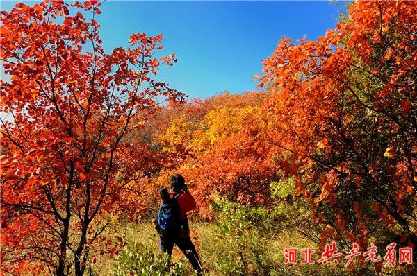 美丽邢台绿色太行,邢台生态文明建设