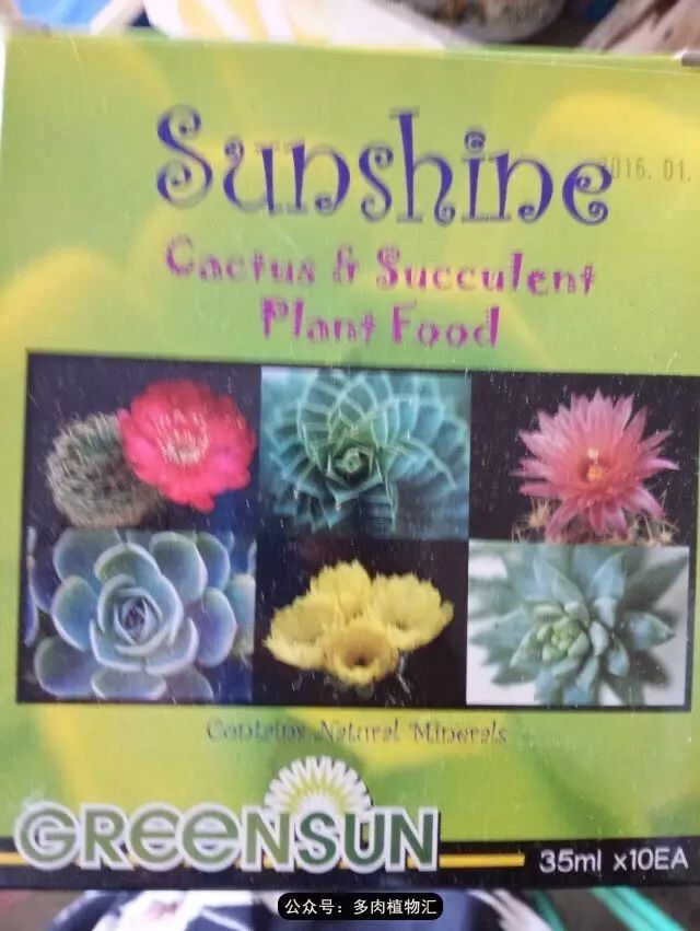 韩国如何养多肉,家庭养多肉用什么施肥