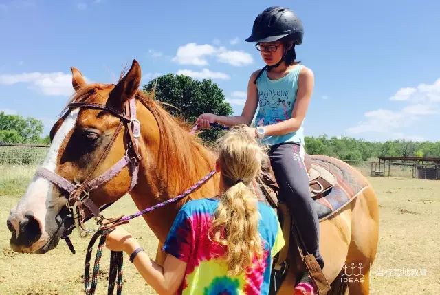 营地教育未来5年的发展,知名营地教育