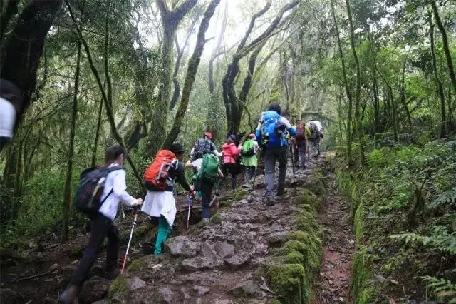 BLACKYAK牛人牛队｜登顶“非洲之巅”