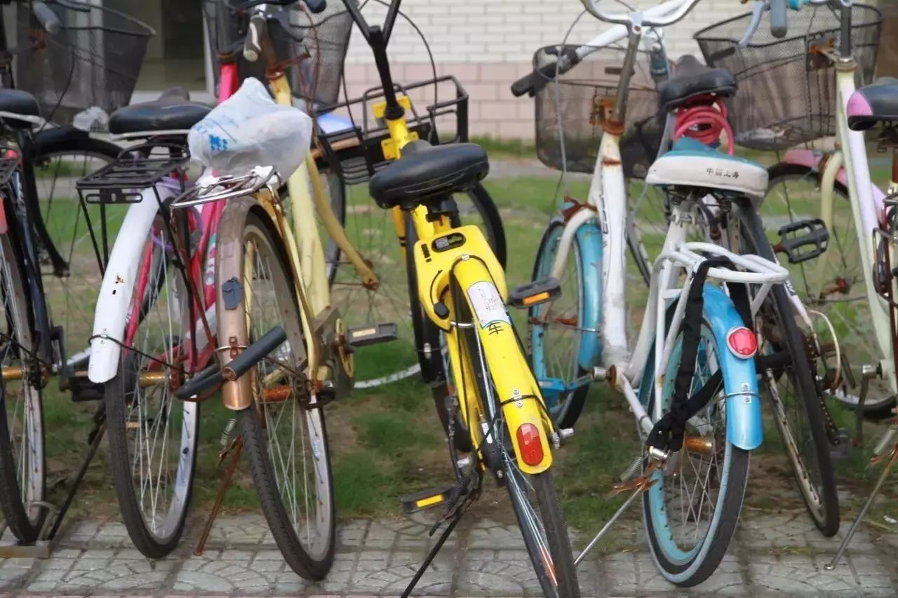 江南大学共享电动车,ofo小黄车免费