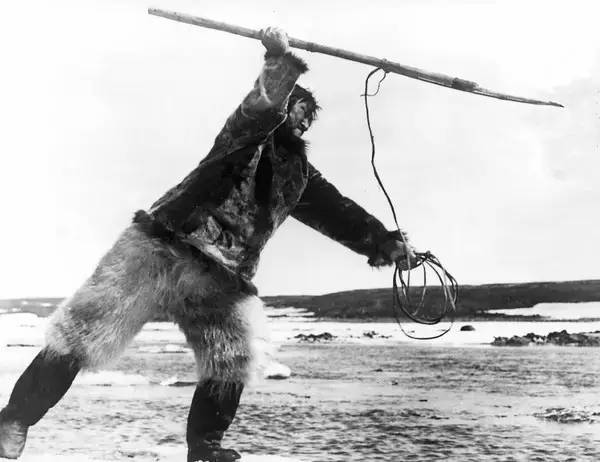 最好的纪录片完整版,最好的纪录片素材