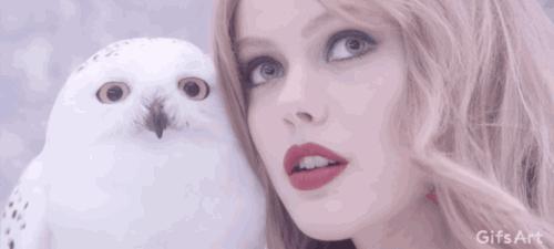 知识点｜还不知道安瓶？弘叔喊你来补课（进阶版）