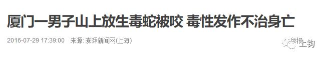 海钓真实故事大全,海钓的故事视频