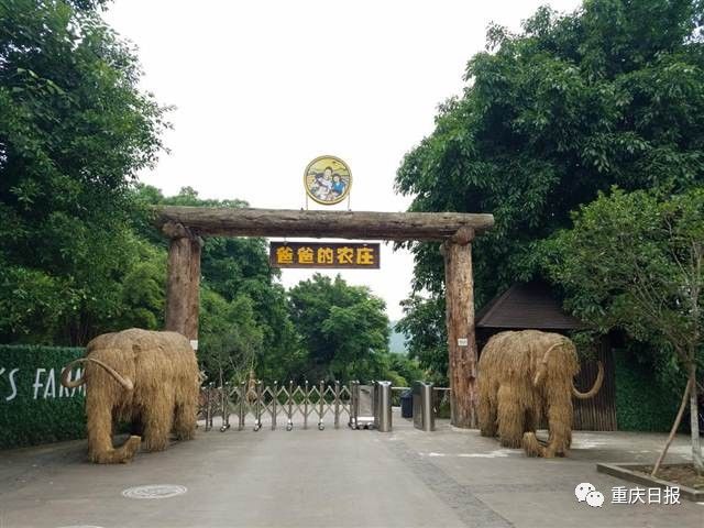 重庆北碚安静惬意的地方,重庆北碚幽静