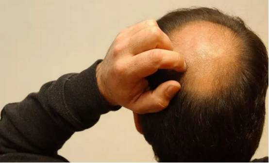 冒险岛2新冒险,冒险岛2资料