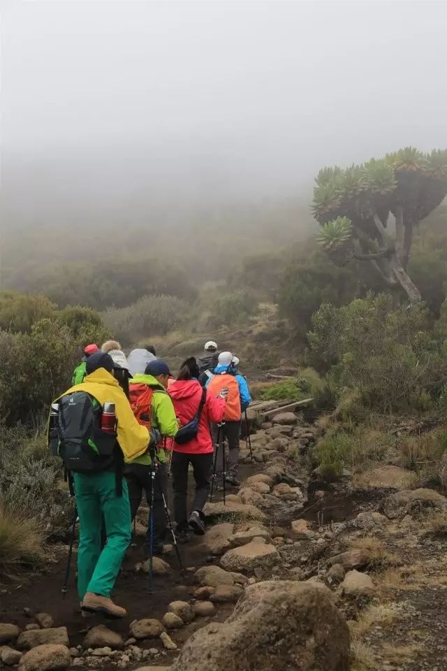 BLACKYAK牛人牛队｜登顶“非洲之巅”