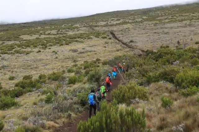 BLACKYAK牛人牛队｜登顶“非洲之巅”