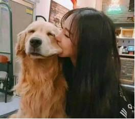 一般被狂犬咬伤狂犬病疫苗多少钱,被猫狗轻微抓伤需要打狂犬疫苗吗
