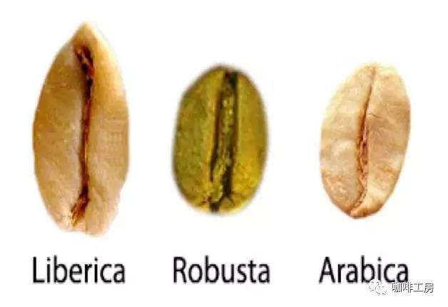 「咖啡常识」咖啡师学习培训基础知识大全