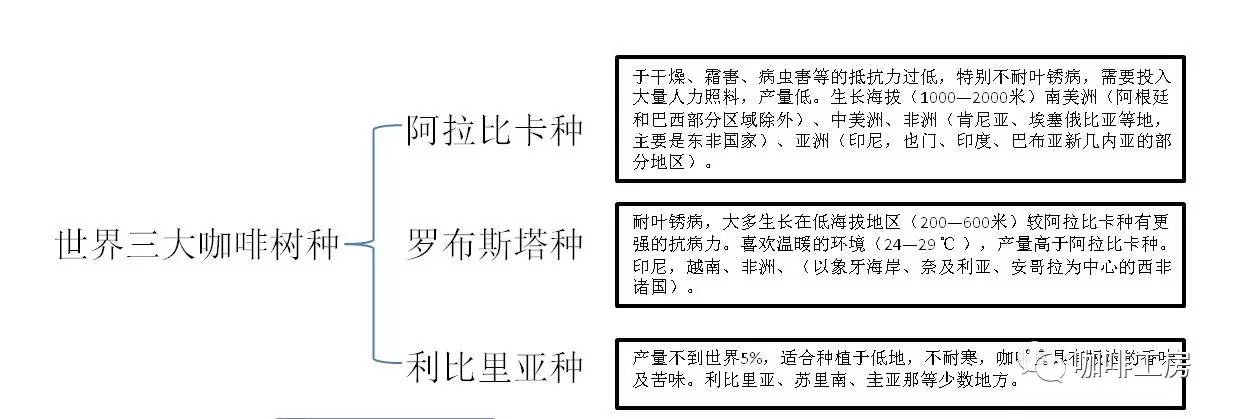 「咖啡常识」咖啡师学习培训基础知识大全