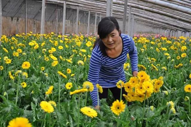 巾帼心向党喜迎二十大齐鲁女性,喜迎十九大齐鲁女性在行动临沂篇