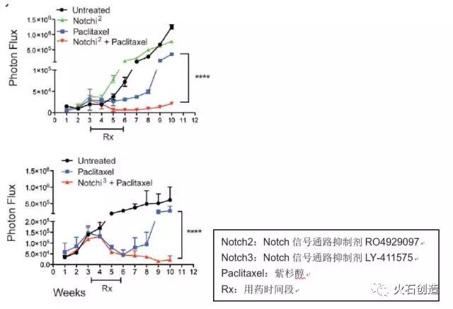 her2最新临床进展,nature杂志什么水平能看懂