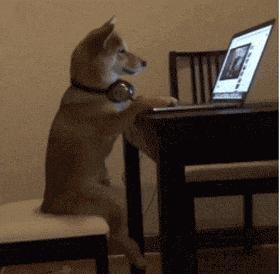 假期余额已不够怎么返程,假期余额已不够这份提醒请收好