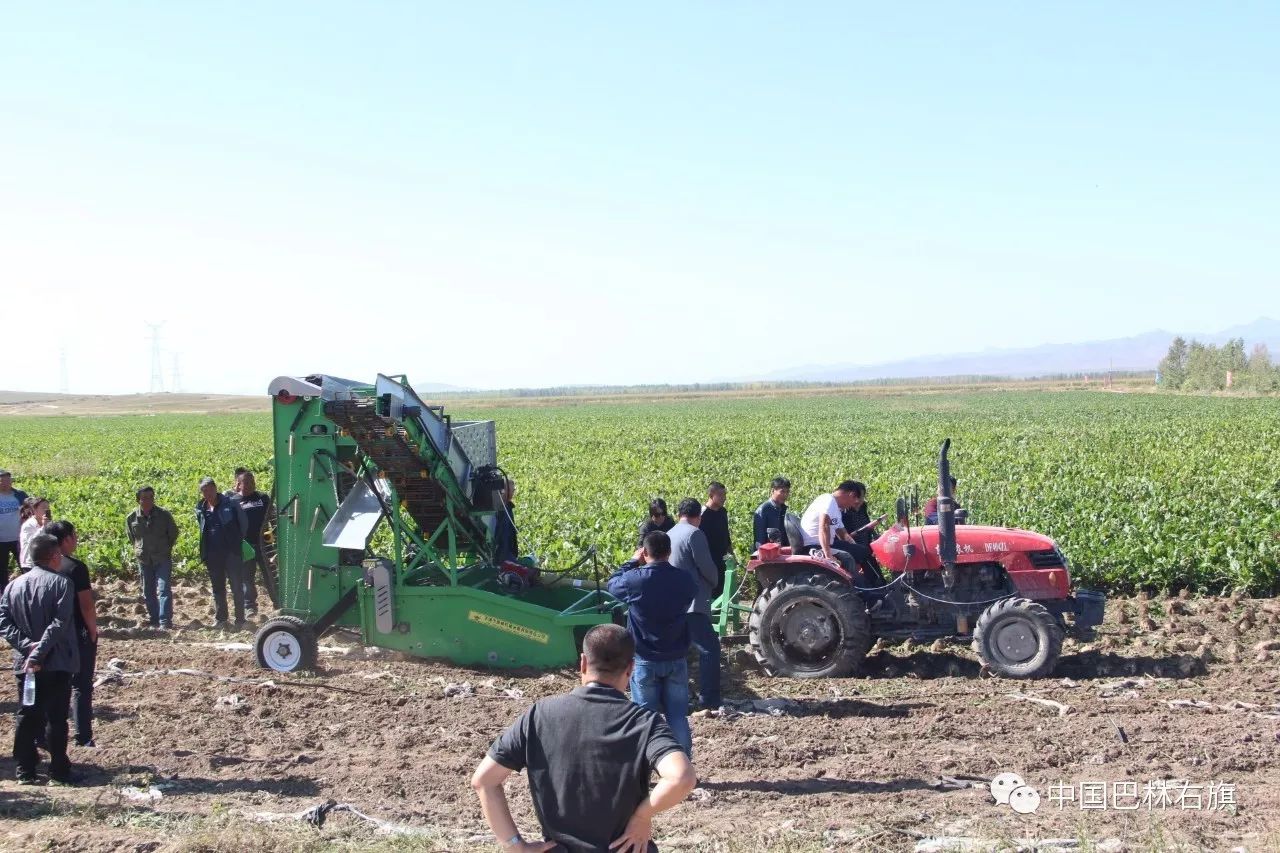 巴林右旗农机推广中心,农机化技术推广现场会在我县召开
