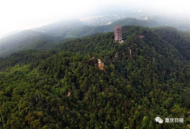 重庆北碚安静惬意的地方,重庆北碚幽静