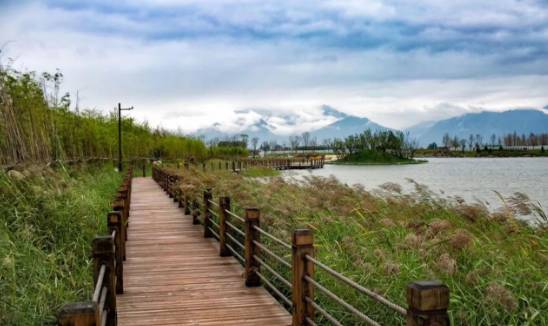 西安不用开车适合去玩的地方,西安周边秋天一日游最佳景点推荐