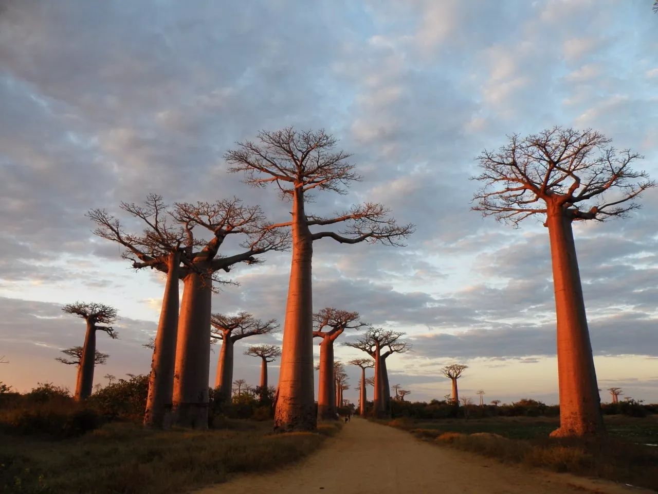 去裸心谷kikaboni吃私宴，听南非主厨BarendGreyling说家的故事