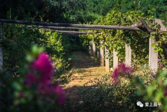 北京昌平十三陵民宿推荐,昌平民宿独立小院20人