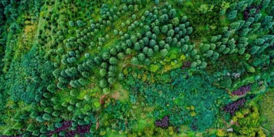 西安不用开车适合去玩的地方,西安周边秋天一日游最佳景点推荐