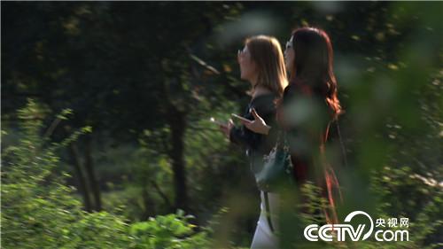 台湾大泥鳅养殖前景价值,台湾大泥鳅一年长多少