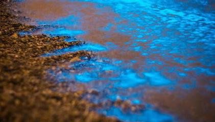 雨少了，水咸了，养虾的你必须关注水体发光，及时处理