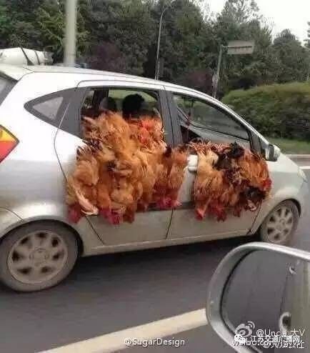 开双闪上路会被扣分吗,什么情况下不打开双闪扣6分