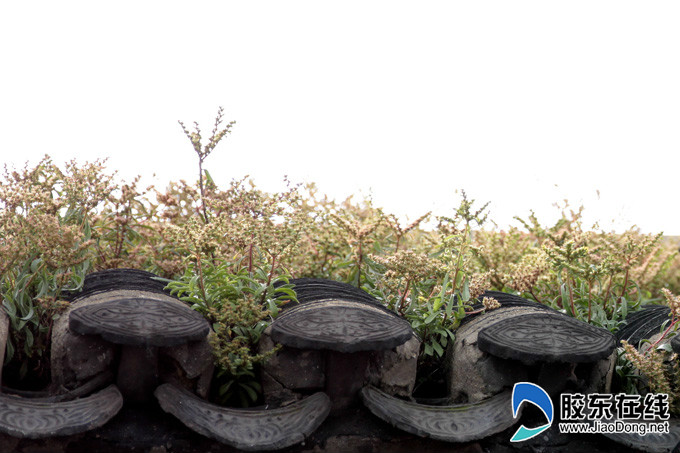 定格城市最好的瞬间,定格城市美丽瞬间