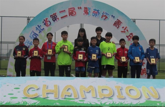 冀萌杯比赛,河北省冀萌杯