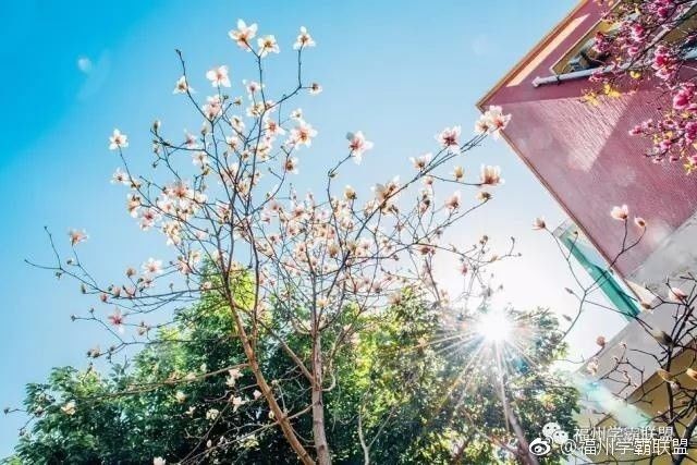 福州一中是全国百强吗,福州一中全国百强校