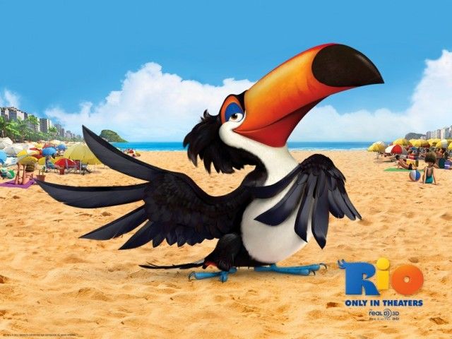 巨嘴鸟的嘴巴有什么用,巨嘴鸟为什么嘴这么大