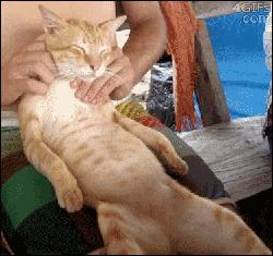 囧吐槽：社会我哈哥，狗怂话还多