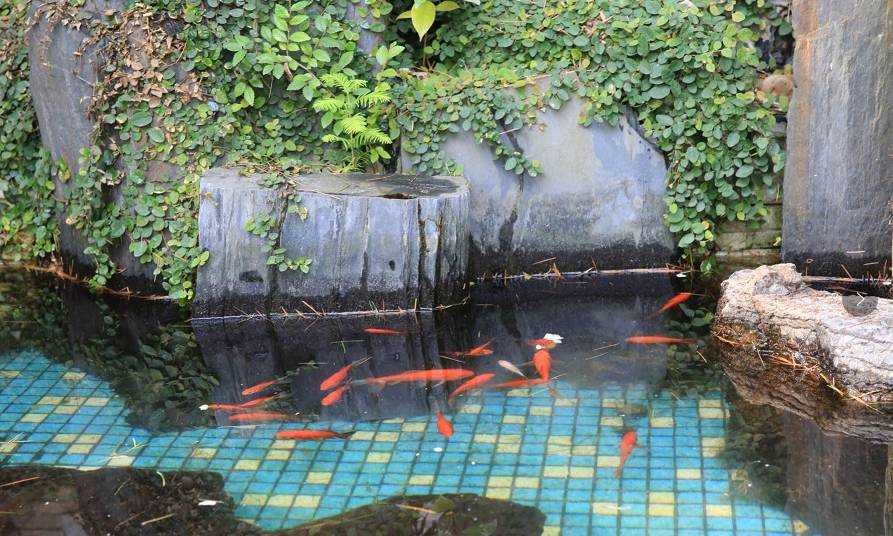 南京十二中考入清华,南京市十二中百年校庆同学录