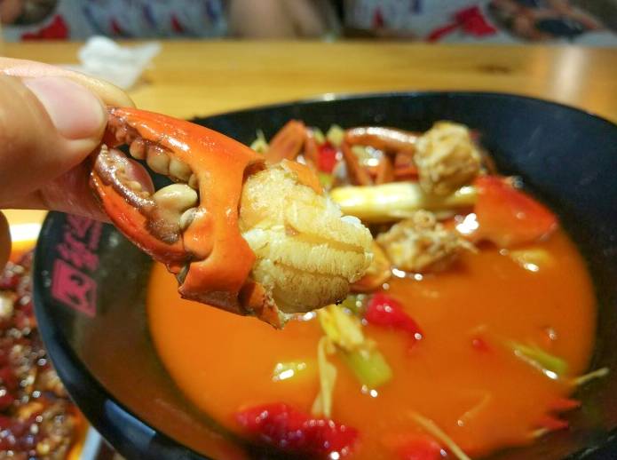 十月吃蟹指南:成都最好吃的8家蟹都在这里了