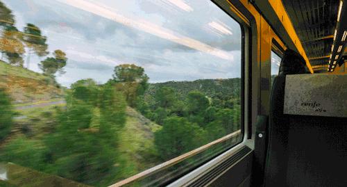 深圳到香港一天攻略费用,花最少钱走深圳到香港