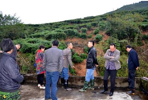 天灾无情人有情企业捐赠暖人心,天灾无情人有情感恩所有逆行者