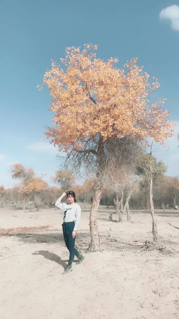 逃离阴雨缠绵的上海，说走就走的3日*疆新**胡杨游你想试试吗？｜附攻略