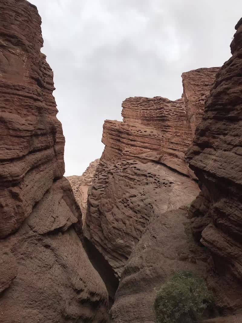 逃离阴雨缠绵的上海，说走就走的3日*疆新**胡杨游你想试试吗？｜附攻略