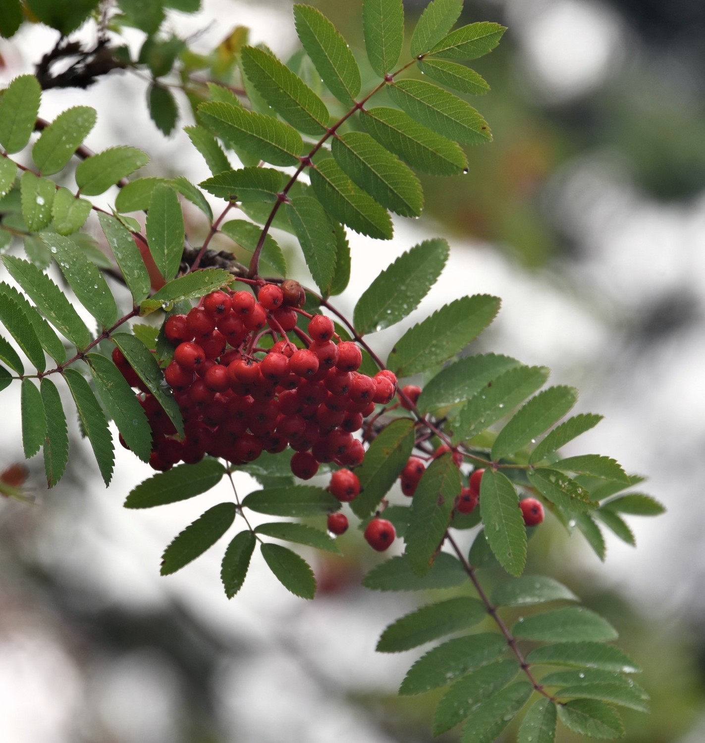 英国著名的城堡有哪些,英国城堡多少年了