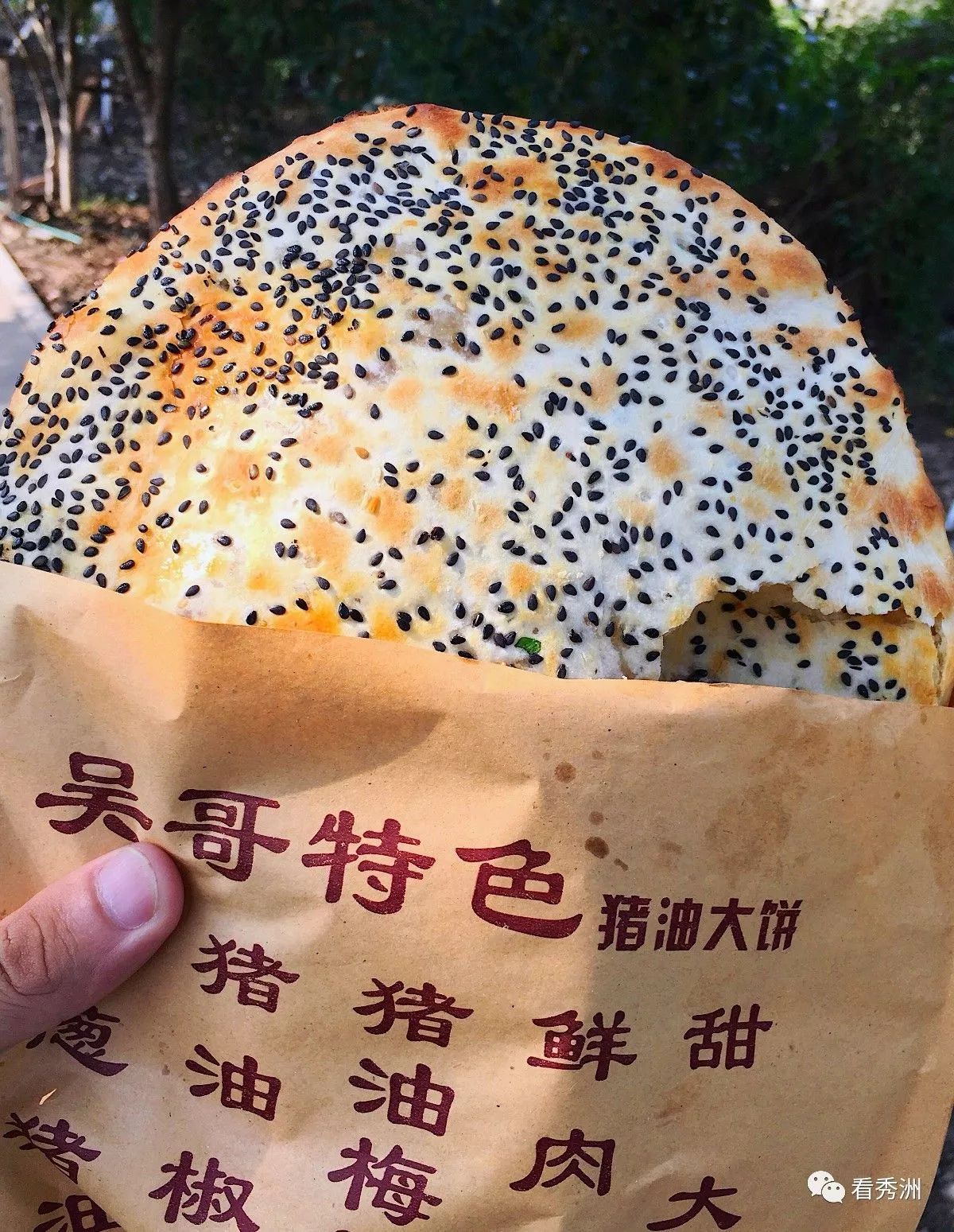 顺德美食地图手绘图文,手绘美食攻略地图