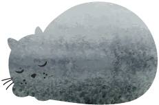 「我在日喀则」李优民：援藏手记（八）