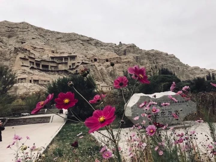 逃离阴雨缠绵的上海，说走就走的3日*疆新**胡杨游你想试试吗？｜附攻略