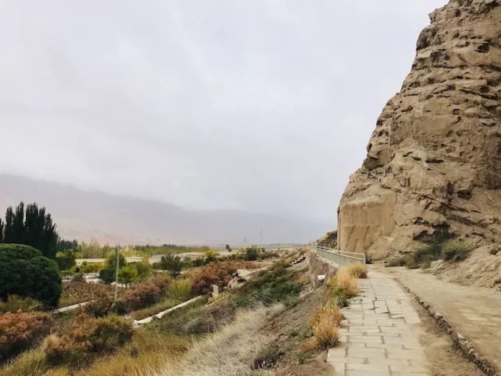 逃离阴雨缠绵的上海，说走就走的3日*疆新**胡杨游你想试试吗？｜附攻略