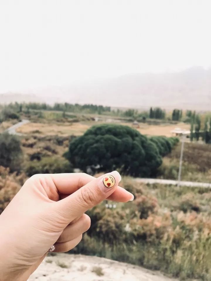 逃离阴雨缠绵的上海，说走就走的3日*疆新**胡杨游你想试试吗？｜附攻略