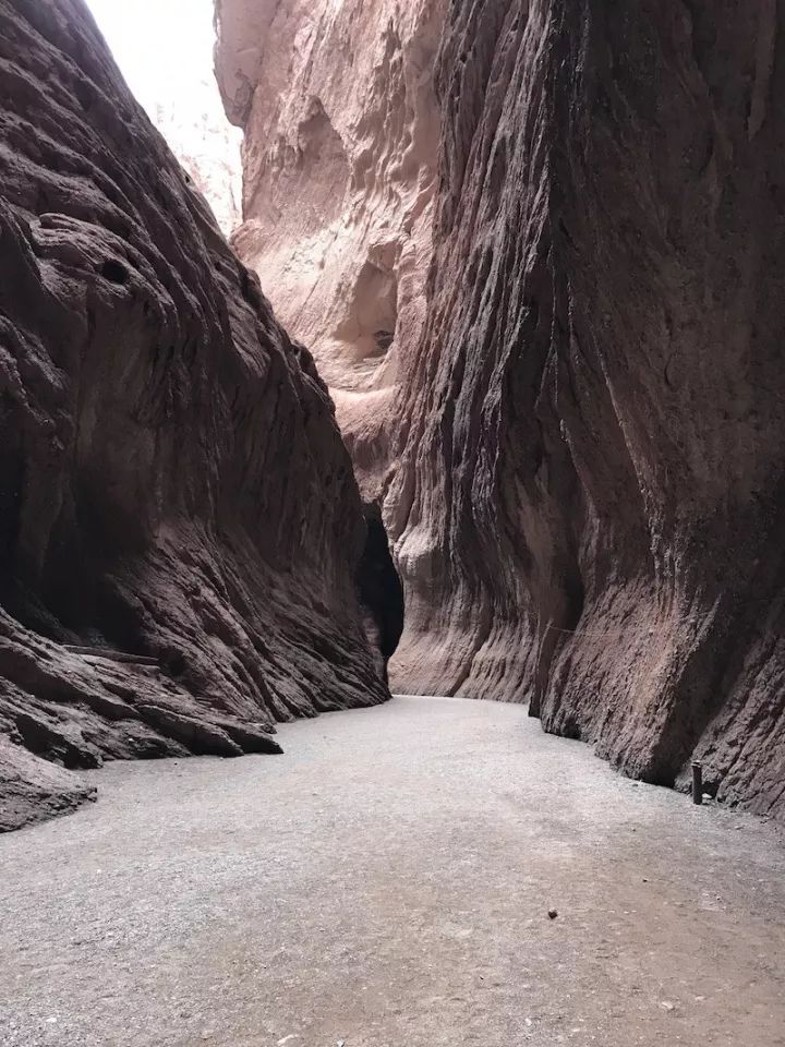 逃离阴雨缠绵的上海，说走就走的3日*疆新**胡杨游你想试试吗？｜附攻略