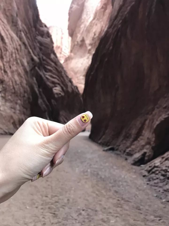 逃离阴雨缠绵的上海，说走就走的3日*疆新**胡杨游你想试试吗？｜附攻略