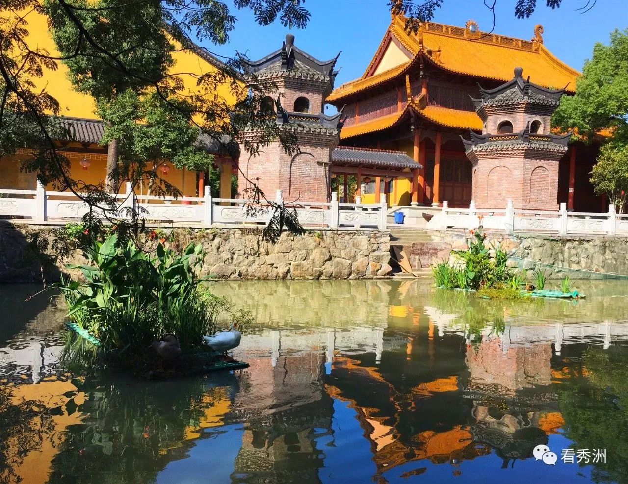 顺德美食地图手绘图文,手绘美食攻略地图