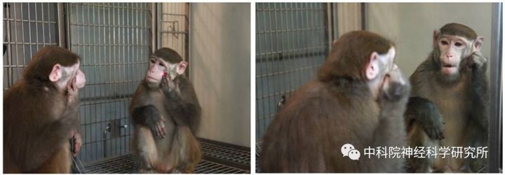 悟空显神通和弄神通哪个准确,悟空荧光重涂