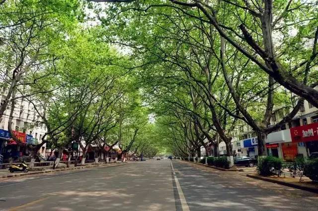 简单介绍一下安徽马鞍山,我的家乡最美的地方是马鞍山