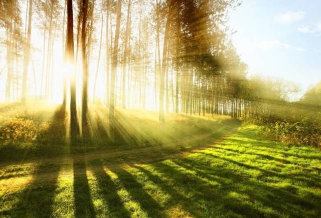 年轻人手脚冰凉怕冷怎么办,年轻人手脚冰凉怎么回事